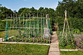 VEGETABLE GARDEN