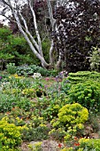 BARNSDALE GARDENS, ARTIFICIAL ROCK GARDEN IN LATE SPRING