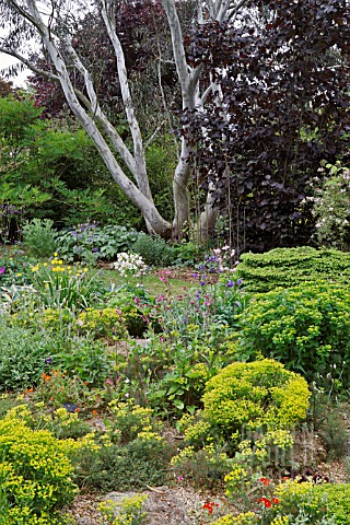 BARNSDALE_GARDENS_ARTIFICIAL_ROCK_GARDEN_IN_LATE_SPRING