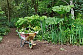 WHEELBARROW AND FORK AT BARNSDALE GARDENS