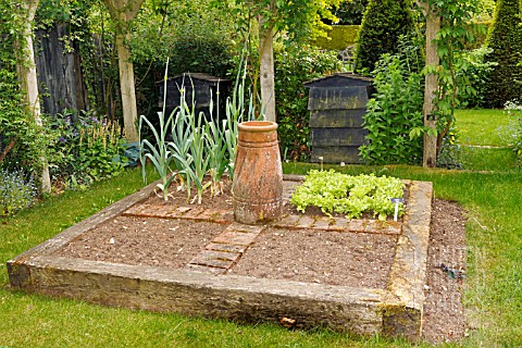 VEGETABLES_IN_A_RAISED_BED_AT_BARNSDALE_GARDENS