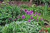 TOWN GARDEN AT BARNSDALE GARDENS