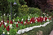 HERBACEOUS BORDER, BUTCHART GARDENS