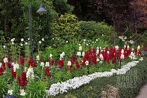 HERBACEOUS_BORDER_BUTCHART_GARDENS