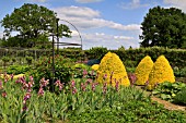 ORNAMENTAL KITCHEN GARDEN, AT GRIMSTHORPE CASTLE