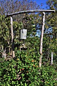 RUSTIC WELL WITH GALVANIZED BUCKET AT THE ANTIQUE ROSE EMPORIUM,  TEXAS