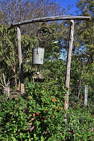 RUSTIC_WELL_WITH_GALVANIZED_BUCKET_AT_THE_ANTIQUE_ROSE_EMPORIUM__TEXAS