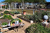 VEGETABLE GARDEN AT THE ANTIQUE ROSE EMPORIUM, TEXAS