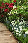 DISPLAY OF SPRING FLOWERS