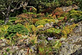 THE ABKHAZI GARDEN, VICTORIA, BRITISH COLUMBIA, CANADA