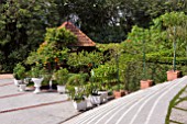 HIBISCUS GARDEN, LAKE GARDENS, KUALA LUMPUR, MALAYSIA