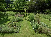 SUDELEY CASTLE HERB GARDEN WALK