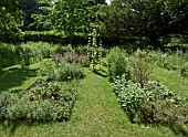 SUDELEY CASTLE HERB GARDEN WALK