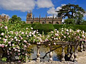 QUEENS GARDEN, SUDELEY CASTLE GARDENS