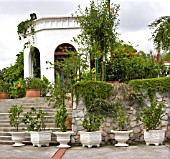 HIBISCUS GARDEN, LAKE GARDENS, KUALA LUMPUR, MALAYSIA