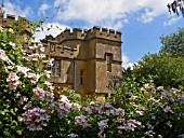 SUDELEY CASTLE GARDENS