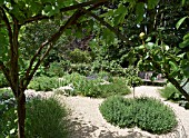 SUDELEY CASTLE HERB GARDEN WALK, THE PHYSIC GARDEN