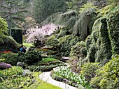 BUTCHART GARDENS IN SPRING