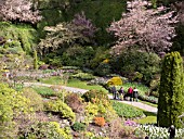 BUTCHART GARDENS IN SPRING