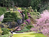 BUTCHART GARDENS IN SPRING