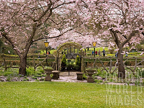 BUTCHART_GARDENS_IN_SPRING