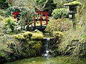 BUTCHART GARDENS IN SPRING