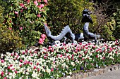 BUTCHART GARDENS IN SPRING, DRAGON FOUNTAIN IN TEMPORARY DISPLAY