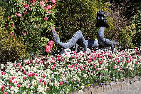 BUTCHART_GARDENS_IN_SPRING_DRAGON_FOUNTAIN_IN_TEMPORARY_DISPLAY