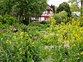 BASEL BOTANICAL GARDEN, SWITZERLAND