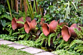 SHADY WATER FEATURE WITH CLAY POTS AT LAKE GARDENS, KUALA LUMPUR, MALAYSIA