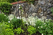A white border with bunchgrass, clematis, and peonies in the walled garden at Biltmore Estates in May