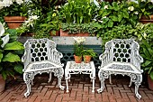 Antique furniture in the white garden in the tropical conservatory at Biltmore Estates