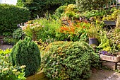 A multi levelg arden behind a former farmhouse in the Yorkshire Dales.  Stone retaining walls hold a profusion of flowers in late August, and colourful montbretia, hostas, and a hydrangea add to the charm.