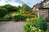 Stone steps lead to the upper levels of a multi level garden in the Yorkshire Dales.  A colourful hydrangea and chives grow well in containers, while monotbretia, sedum, and hostas grow in profusion above the stone retaining walls. Rhubarb, blueberries, chives, and sage grow in a raised bed.