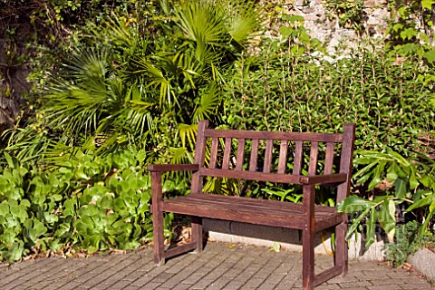 WOODEN_BENCH_IN_A_QUIET_CORNER_OF_PENLEE_MUSEUM_GARDENS_PENZANCE