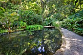 STILL POND AT THE SPICE GARDEN, PENANG, MALAYSIA