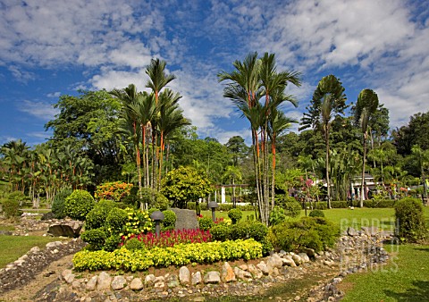 FLOWER_BED_AT_THE_ASEAN_SCULPTURE_GARDEN_KUALA_LUMPUR_MALAYSIA