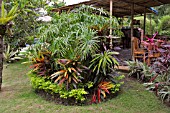 FLOWERBED IN A TROPICAL GARDEN