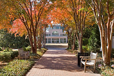 AUTUMN_COLOURS_AT_ATLANTA_BOTANICAL_GARDENS