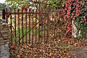 RUSTY GATE AND AUTUMN LEAVES, CLIOUSCLAT, FRANCE