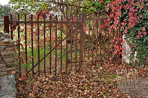 RUSTY_GATE_AND_AUTUMN_LEAVES_CLIOUSCLAT_FRANCE