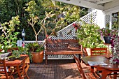 BALCONY GARDEN IN NEW ZEALAND