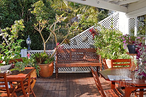 BALCONY_GARDEN_IN_NEW_ZEALAND