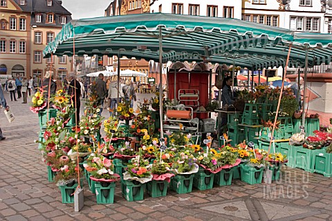FLOWER_STALL_IN_TRIER_GERMANY