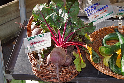 BEETROOT_AND_CUCUMBERS_FOR_SALE