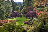 BUTCHART GARDENS, THE SUNKEN GARDEN IN AUTUMN