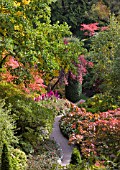 BUTCHARD GARDENS, THE SUNKEN GARDEN IN AUTUMN