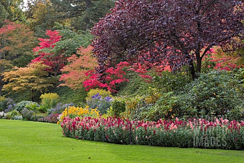 BUTCHART_GARDENS_THE_SUNKEN_GARDEN_IN_AUTUMN