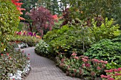 BUTCHART GARDENS, THE SUNKEN GARDEN IN AUTUMN