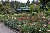 BUTCHART GARDENS, THE ROSE GARDEN